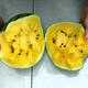 Dayu Yellow Heart Watermelon Seeds, Early Maturity, Yellow Skin, Red Flesh, Yellow Flesh, Special Xiaofeng Watermelon Seeds, Southern Fruit, Yellow Flesh, Small Orchid Watermelon Seeds, 10 capsules, 3 packs