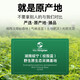 Wannongshan Gynostem Blue Tea Special Tender Leaf Pressed Robu Mass and Gynostem Blue Authentic Health Tea Feiping Lilong Whisper Tea Eucommia Green Qianliu Original Gynostem Blue 200g [100g/can 2 cans in total]