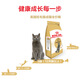 Royal Dad Royal Adult Cat Food BS34 British Shorthair Cat Special Blue Cat Beauty Short Food Fattening Hair and Cheeks Full Price 2k 342kg bs