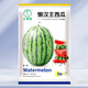 Dayu Lazy Man Watermelon Seed Seedlings Extra Large Suitable for Early Maturing Lazy People in the South 8424 Kirin Melon Meidu Seedless Fruits and Vegetables Lazy Man Watermelon Seeds About 50 Particles 2 Bags Free of Marking