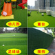 Hanoufei artificial lawn artificial turf roof balcony plant enclosure wall decoration kindergarten plastic fake 1.0 cm emerald green (encrypted)