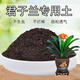 Special soil for Clivia, organic flower soil for growing flowers, Clivia nutritious soil for growing flowers, general planting soil, breathable fertilizer, Clivia carefully selected special soil 9.5 Jin Jin is equal to 0.5 kg