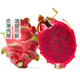 3 pieces of domestically produced red dragon fruit, harvested directly from the place of production, approximately 1.1kg