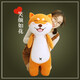 Magic Dragon Cute Sleeping Plush Toy Dog Doll Rag Doll Girl Sleeping Long Pillow Doll Cute Puppy Rag Doll Birthday Gift for Girls Shiba Inu 60cm
