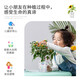 Devodo Impatiens Seed DIY Children's Fun Planting Potted Set Plant Observation Cup Children's Day