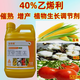 ADAMA ethephon ripening agent fruit banana mango tomato persimmon corn growth regulator walnut peeling 350g bottle