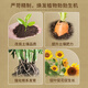Manlife Pure Sheep Manure Fermented Organic Fertilizer for Vegetable Gardens About 10 Jin Jin is equal to 0.5 kg Farmhouse Flower Fertilizer Green Plant Potted Ripe Sheep Manure Egg Fertilizer