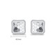 Trendy Acer PT950 Platinum Earrings Women's Birthday Gift Price Modern EEP40000508 One Pair Approximately 1.9g