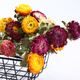 Aiman dried flowers, real flowers, Yunnan straw chrysanthemums, small daisies, natural air-dried bouquets, flower arrangements, internet celebrity decorative ornaments, wheat straw chrysanthemums, colorful bouquet (20 flowers), dry branches