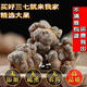 Yunnan Wenshan Spring Panax notoginseng whole wild Panax notoginseng wholesale price unwaxed Panax notoginseng heads soaked in water agricultural products 250g (15 pieces)