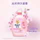 Jinfang Clothes Fragrance Master Fragrance Softener Care Agent Sakura 8Jin Jin is equal to 0.5kg, long-lasting fragrance and deodorization, soft fragrance and anti-static