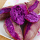 Luxi Guangxi Fresh Purple Sweet Potatoes Seasonal Premium Purple Sweet Potatoes Soft, Sweet and Healthy Fresh Vegetables Selected Medium Fruit Net Weight 9Jin Jin is equal to 0.5kg (single fruit 3 taels +)