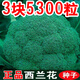 Broccoli seeds broccoli seeds loose cauliflower seeds cauliflower green cauliflower seeds four seasons vegetables original broccoli seeds 3 bags (about 900 pieces