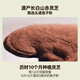 Aodong Breaking Wall Ganoderma lucidum Spore Powder 2G*30 мешков гранул Аутентичные Чанбайшан Пищевые продукты Увеличение иммунитета