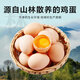 Local eggs, grain-fed, farm-raised fresh eggs, about 40g, breakfast Jingdong fresh soft-boiled eggs, 10 pieces, 400g Local eggs, grain-fed, farm-raised fresh eggs, about 40g, breakfast Jingdong fresh soft-boiled eggs, 10 pieces, 400g