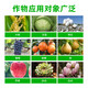 Guoguang Pesticide Naphthalene Acetate Plant Growth Regulator Flower Preservation and Fruit Preservation Medicine Prevent Fruit Falling Fruit Tree Flower and Fruit Treasure 100ml