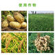 Quanfeng Spida 5% Prohexadione Calcium Wheat, Rice, Peanut, Potato Growth Control Agent Plant Growth Regulator 20g 1 Bag