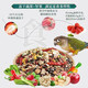 Kaiyuan Chicken Star Little Sun Parrot Bird Food Monk Special Food Fruit, Vegetable, Nut Nutrition Black Phoenix Bird Food Full Price Little Sun Parrot Food 1200g