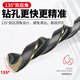 Letter drill bit twist drill straight handle alloy stainless steel drilling woodworking punch drill metal steel opening hand electric drill drill bit rolled 4.2mm (1 piece)