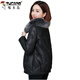 Woodpecker Large Fur Collar Leather Jacket Women's 2025 Autumn and Winter New Korean Style Leather Cotton Jacket Short Thickened Cotton Jacket Gray M Recommended 95-110Jin Jin equals 0.5 kg