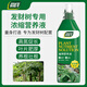 Shangyang Money Tree special plant nutrient solution 500mL flower pot yellowing and falling leaves hydroponic green plant organic flower fertilizer