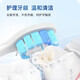 隽悦适配飞利浦电动牙刷头HX680J/HX680C/HX680P/HX682P/HX685T/HX684A替换头软毛 白钻亮白型 6支 硬毛