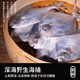 Haidingji Zhoushan sea-caught large silver pomfret 400g*2 pack 4 pieces/pack fresh fish New Year's Eve