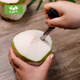 Fresh, selected large fruits, Hainan green coconut, fresh coconuts are picked and shipped to pregnant women to replenish amniotic fluid, healthy fresh coconut water, selected 9 packs (with tools)