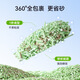 Shenjingmao Enzyme Cat Litter Green Tea Baking Soda Granules Deodorizing Clumping Bentonite Cat Litter 20 Jin Jin equals 0.5 kg Mineral sand low dust tofu cat litter 4 Jin Jin equals 0.5 kg *Enzyme original mixed cat litter