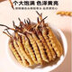 
Beijing Tongrentang Official Store Flagship [must-see for gifts] Cordyceps authentic dried goods Cordyceps sinensis 2024 high-end gift box 4 sticks/gram Complete grass [10 grams]
