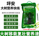 Ping'an Big Tree Nutrient Express tree nutrient solution universal seedling hanging needle solution promotes life and promotes root growth 1L