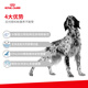 Royal Canin Dog Skin Prescription Food Adult Dog Hypoallergenic Prescription Food 2kg Hypoallergenic Dog Main Food Skin Sensitive Main Food DR21 Adult Dog Hypoallergenic Prescription Food 8kg