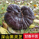 花色堂黑灵芝野生长白山500克灵芝切片干货整朵泡酒五色灵芝养生茶 [瓶装]孢子粉250克
