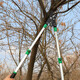 Xiyi pruning scissors, fruit tree thick branch shears, high branch saw, gardening scissors, garden vigorously pruning branches, lengthening telescopic scissors, heavy-duty armor telescopic thick branch shears + spare blades