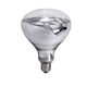 Central Products Infrared 275W heating lamp bathroom heater light bulb waterproof light bulb unit