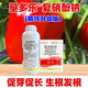 Tubaobao Kendurofu Sodium Nitrophenolate Plant Growth Regulator Flower and Fruit Coloring Promotes Roots and Flowers and Fruits Vegetables and Flowers 1000g Kendurofu Sodium Nitrophenolate*1 Bottle