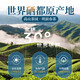 Mr. Cha'er Mingqian Premium Green Tea Spring Tea 2024 New Tea Gift Box Enshi Selenium Tea Strong Flavor 250g Gift Box
