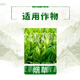 Guoguang Dynamics S-attractant citrus fruit tree disease resistance, drought and cold resistance, salt tolerance, root strengthening and seedling plant growth regulation 1000ml