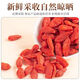 Nouveau produit Wolfberry 500G Ningxia Authentique et spécial sans soufre prêt-à-manger Wolfberry Big Granules Wolfberry 500g Sac GRAND GRANULES 20G ESSU NON RECOMMANDÉ