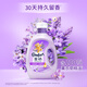 Jinfang Clothes Fragrance Master Fragrance Perfume Care Softener Lavender 10 Jin Jin is equal to 0.5 kg, deodorizing, anti-static, leaving fragrance and dehumidifying smell