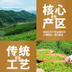 Biyou Sifang Snow Chip Entenscheiße Duft Chaozhou Phoenix Single Thong Tee 2025 New Tea High Mountain Oolong Tee Single Thong Mailand -Geschmack Single von 500g*1 Bag [Entenscheiße -Duft -Teeber
