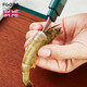 FGODA shrimp line removal knife artifact shrimp line peeling knife double-headed fish shrimp knife shrimp line removal back opener shrimp line picking tool shrimp line knife (white)