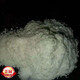 【官方大药房】北大荒 免疫球蛋白 牛初乳粉36% 北大荒垦造见荒北垦 牛初乳粉 免疫球蛋白26 免疫球蛋白26 6盒