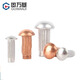 Guwanji aluminum sign rivets GB827 stainless steel knurled aluminum rivets copper nameplate trademark solid rivets fastener collection red copper M2.5x4 200 pieces