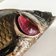 Fresh black crucian carp 200-300g/piece