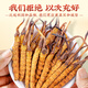 Tongfu cordyceps Sinensis 2 корни/G 1G упаковка. Первый период новых Cordyceps Sinensis Высококачественные сухие товары без перерыва.