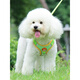 Tang Chong Dog Rope Dog Leash Small Dog Walking Rope Harness Bichon Teddy Pomeranian Puppy Chain Orange + 3m Automatic Retractable Rope M (Recommended Weight 7-13Jin Jin is equal to 0.5kg)