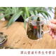 青钱柳茶 百年古树青钱柳养生茶成叶茶 金钱柳 成叶青钱柳1000克