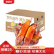 Jingdida Shandong Authentic Tobacco No. 25 Sweet Potato, Net Weight 5Jin Jin is equal to 0.5kg, Medium Fruit 100g+ Roasted Sweet Potato Vegetables Directly from the Source