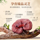Сянжулу четыре органические сломанные стены Ganoderma lucidum Spore Powder 30 мешков * 2 коробки тритерпена 12,5 г Улучшение иммунитета Продукты здоровья
